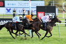 Race 7 - Eagle Court (15)