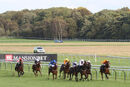 Race 7 - Eagle Court (2)