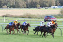 Race 7 - Eagle Court (5)