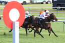 Race 7 - Eagle Court (7)