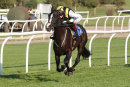 Race 7 - Earlofthecotswolds (2)