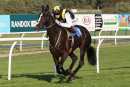 Race 7 - Earlofthecotswolds (3)