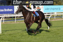 Race 7 - Earlofthecotswolds (4)