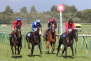 Race 7 - Empress Ali (10)