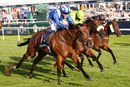 Race 7 - Enjazaat (4)