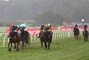 Race 7 - Fair Star (3)