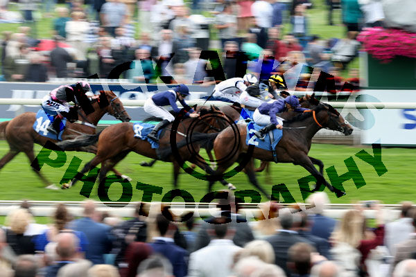 Race 7 - Flaming Rib (2)