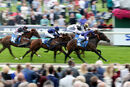 Race 7 - Flaming Rib (2)