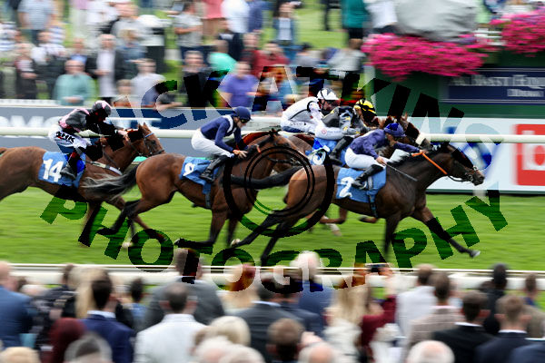 Race 7 - Flaming Rib (3)