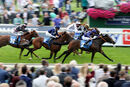 Race 7 - Flaming Rib (3)