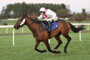 Race 7 - Focaccia (11)