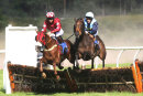 Race 7 - Gold Class (2)