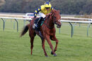 Race 7 - Good Regal (8)