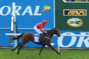 Race 7 - Grand Inquisitor (5)