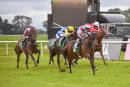 Race 7 - Handsome Bob (3)