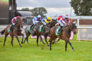 Race 7 - Handsome Bob (4)