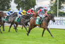 Race 7 - Handsome Bob (5)