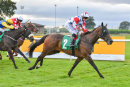 Race 7 - Handsome Bob (8)