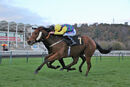 Race 7 - Harrys Ridge (14)