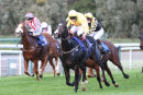 Race 7 - Hawaam (3)