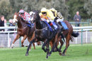 Race 7 - Hawaam (4)
