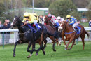 Race 7 - Hawaam (5)