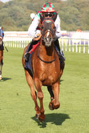 Race 7 - Hayyan (6)