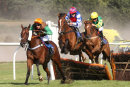 Race 7 - Helf (7)