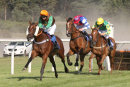 Race 7 - Helf (8)