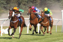 Race 7 - Helf (9)