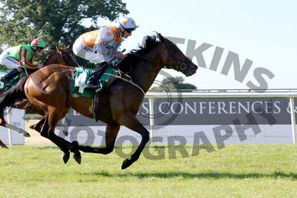 Race 7 - Hitman (7)