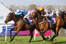 Race 7 - Holy Endeavour & Strangerontheshore (3)