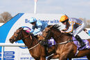 Race 7 - Holy Endeavour & Strangerontheshore (4)