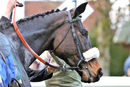 Race 7 - Ice Galley (13)
