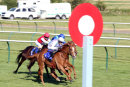 Race 7 - Iconic Belle (9)