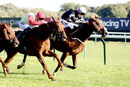 Race 7 - Idilico (15)