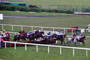 Race 7 - Inishbiggle (2)