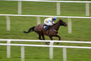 Race 7 - Inishbiggle (4)