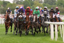 York Races - Dante Day (18 May 17)