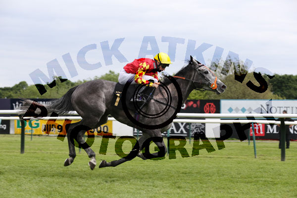 Race 7 - Jewel In My Crown (13)