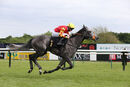 Race 7 - Jewel In My Crown (13)