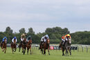 Race 7 - Jewel In My Crown (4)