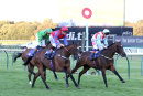 Race 7 - Kaaber (6)