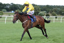 Race 7 - Little Stevie (6)