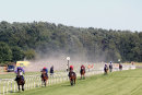 Market Rasen Races (22 Jun 18)