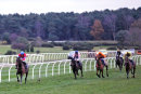 Race 7 - Love Lane (2)