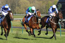 Race 7 - Love So Deep (3)