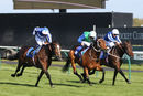 Race 7 - Love So Deep (4)
