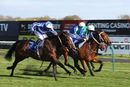 Race 7 - Love So Deep (7)