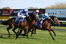Race 7 - Love So Deep (8)